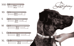 Wide leather dog collar Lazypony - Image 12