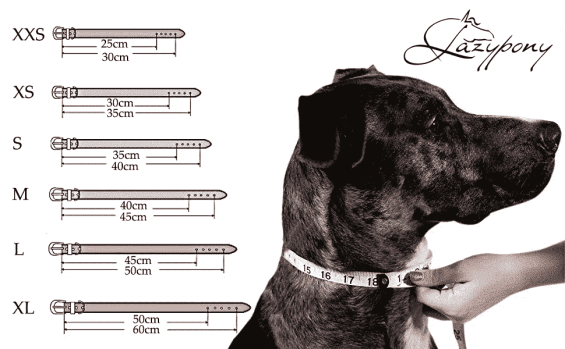 Wide leather dog collar Lazypony - Image 12