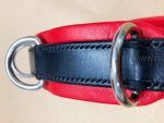 leather cavesson