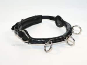 cavesson noseband with chain
