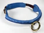 blue and brown chain noseband Lazypony