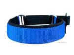 Martingale Collar with Name Tag