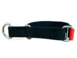 Nylon Martingale Collar with Name Tag