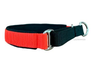 Soft Padded Dog Collar with Name Tag