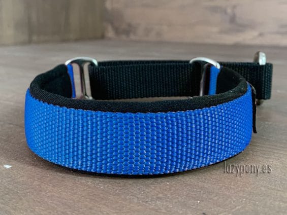 dog collar
