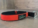 Padded nylon martingale collar - Image 3