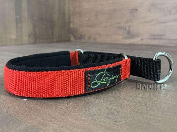 Padded nylon martingale collar - Image 3