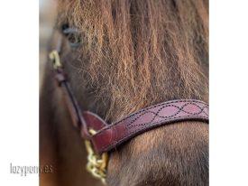 show halter