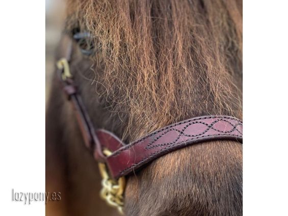 show halter