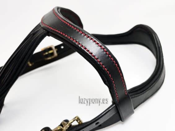 vaquero bridle