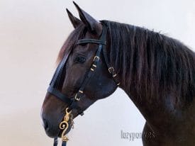 horse bridle