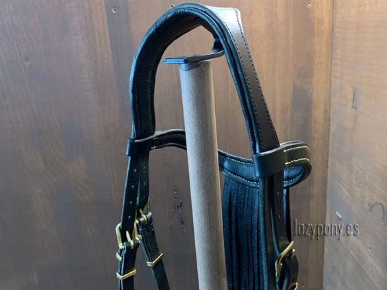 horse bridle