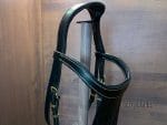 horse bridle