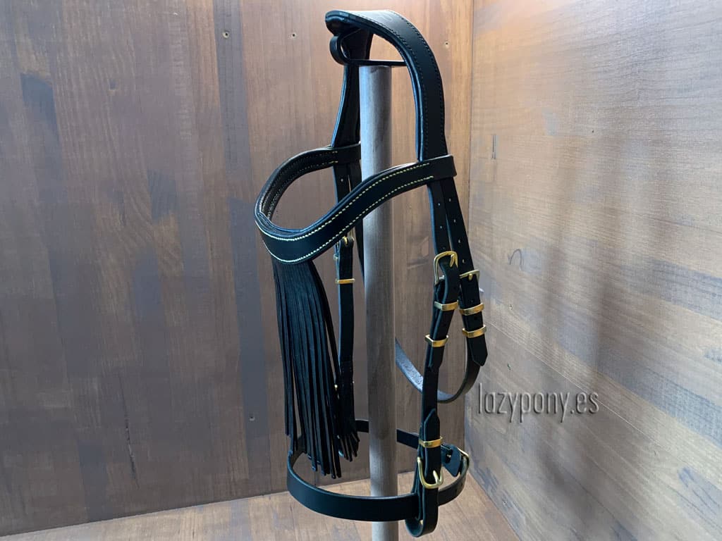 horse bridle