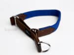 nylon martingale dog collar lazypony