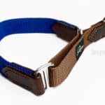 Nylon Martingale Dog Collar with Name Tag