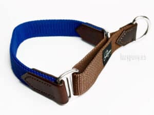 Nylon Martingale Dog Collar with Name Tag