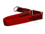 red nylon martingale collar lazypony