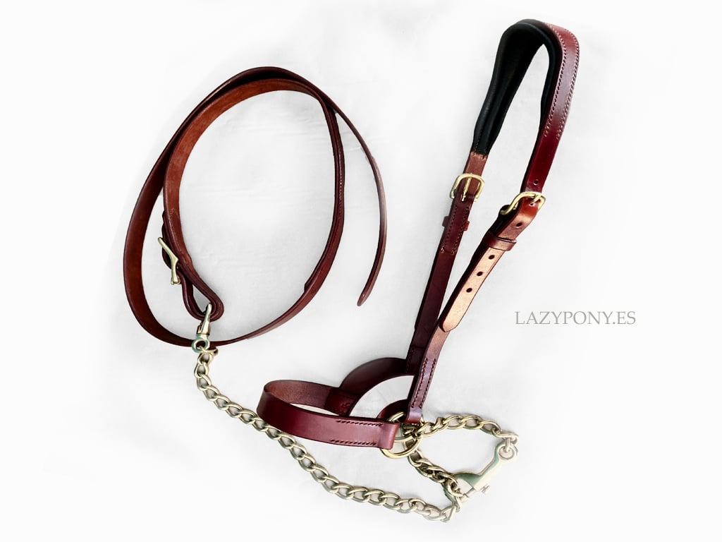 1930 Leather Show halter Lazypony