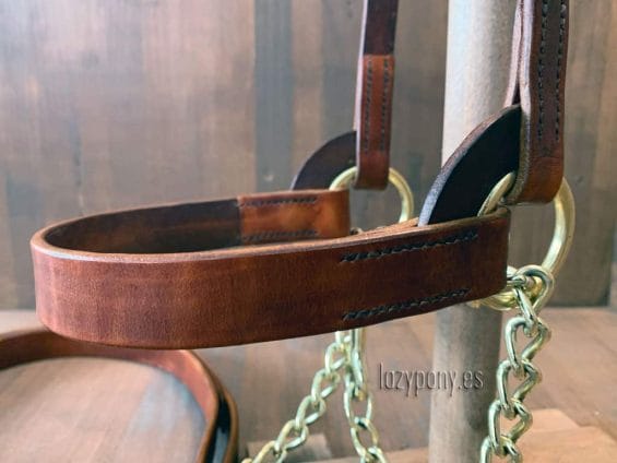 show halter