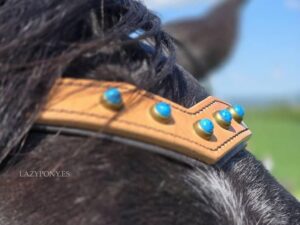v-shape browband lazypony