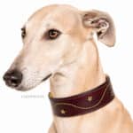 leather greyhound martingale collar with name tag lazypony
