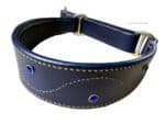Decorated Leather Martingale hound Collar Lazypony