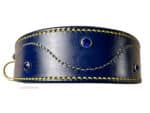 Decorated Leather Martingale Collar Lazypony