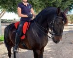 bareback pad