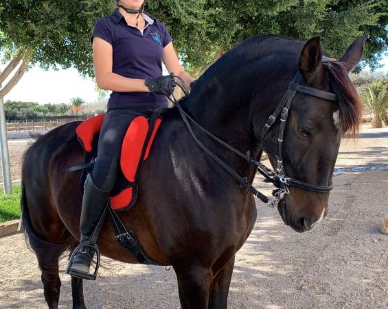 bareback pad
