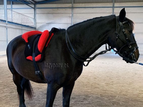 bareback pad