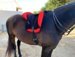 bareback pad