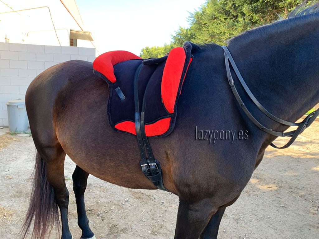 bareback pad