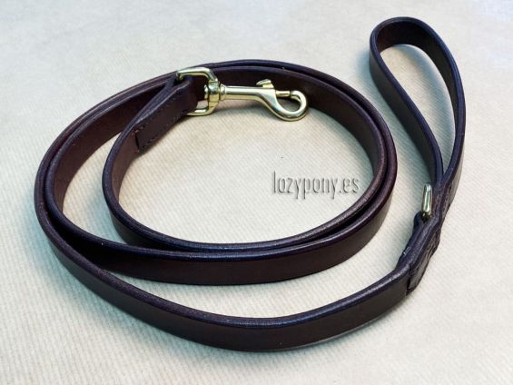 leather dog lead