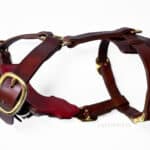 solid leather dog harness