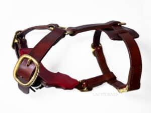solid leather dog harness