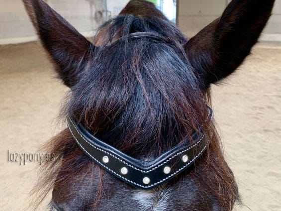 cristal browband