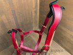 anatomical halter