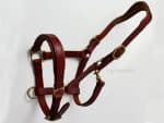 halter with two buckles
