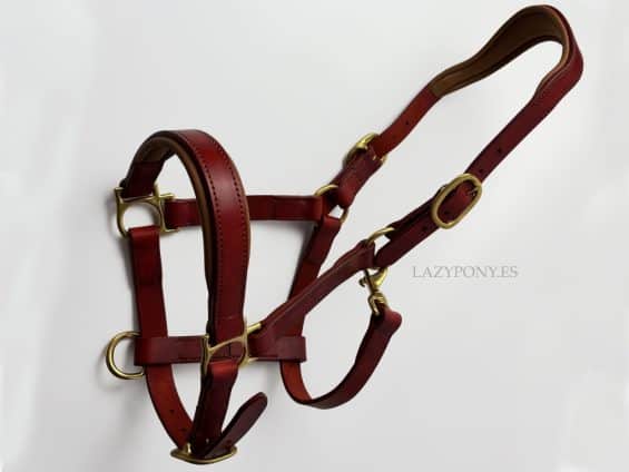 halter with two buckles