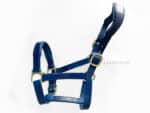 Anatomical leather halter Lazypony, horse headcollar with two buckles