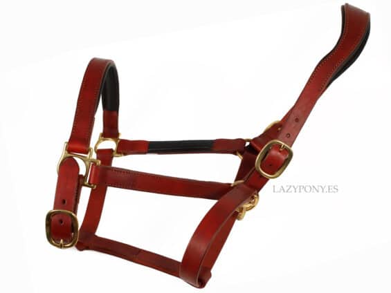 Anatomical leather halter Lazypony, horse headcollar with two buckles