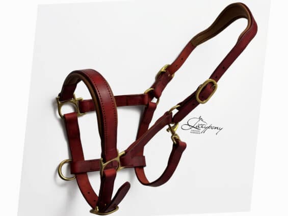 Anatomical leather halter Lazypony, horse headcollar with two buckles