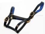 Anatomical leather halter Lazypony, horse headcollar with two buckles