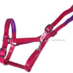 pink leather horse halter