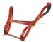 custom leather horse halter lazypony