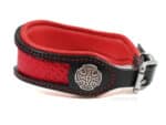hound leather collar