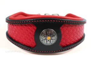 curved leather dog collar