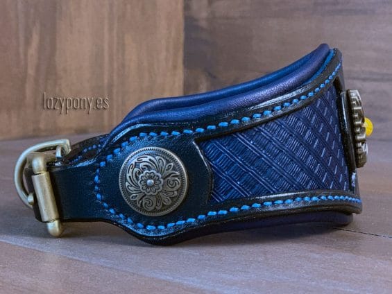craved dog collar