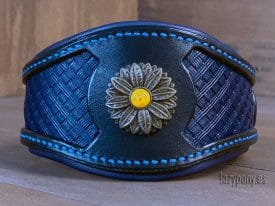 craved dog collar